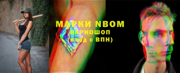 шишки Новозыбков