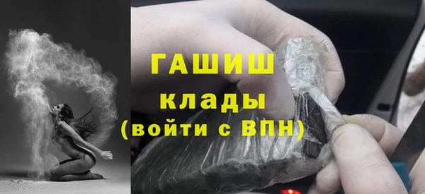 шишки Новозыбков