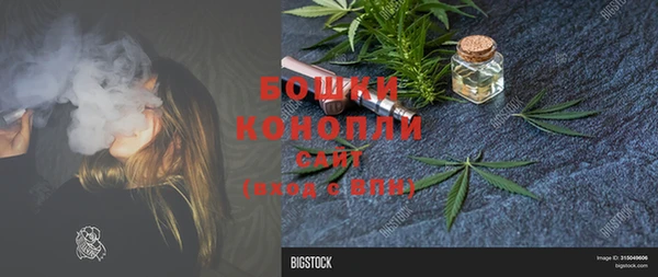 шишки Новозыбков