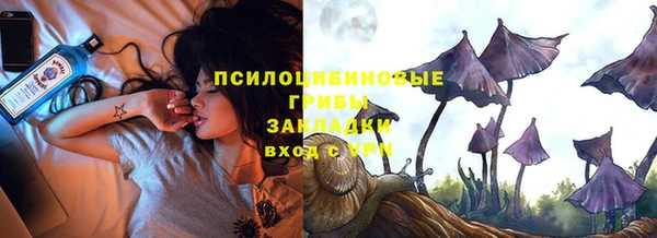 мдма Новодвинск