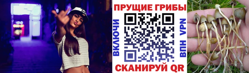 Галлюциногенные грибы GOLDEN TEACHER Балаково
