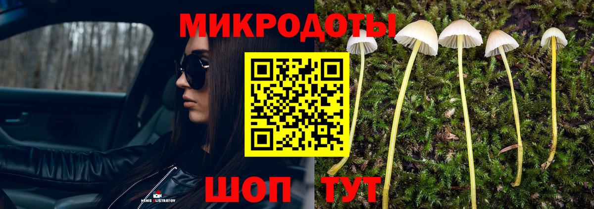 Балаково  Псилоцибиновые грибы Psilocybe  купить   Псилоцибиновые грибы мицелий  Вход с VPN 