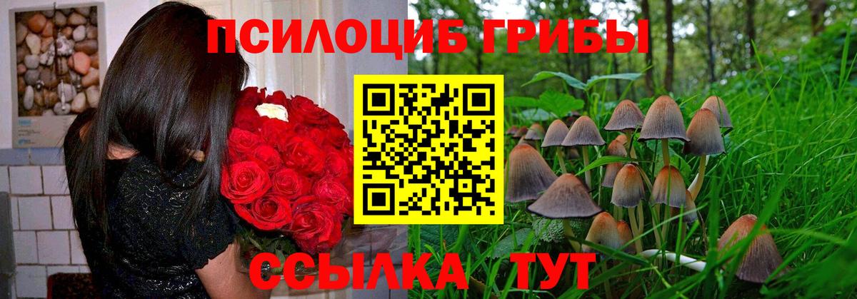 Галлюциногенные грибы GOLDEN TEACHER Балаково